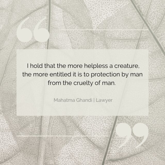 As a vegan interior designer I've made it my mission to create beautiful and sophisticated spaces without harming animals. Moreover I hope to inspire and encourage others, clients and industry colleagues to reconsider their choices.

#mahatmaghandi #savetheplanetearth #veganinteriors #veganinteriordesigner #crueltyfreedesign #crueltyfreeliving #ethicaldesign #ethicaldesigner #ethicalinteriordesign #sustainabledesign #sustainabledesigner #sustainabledesigns #healthydesign #healthyinteriordesign #socialresponsibility #interiordesigntrends #healthyhome #plantmaterials #veganlifeisgood #forhumanity #supportveganbusiness #ethicalinvestment #veganhome #vegandesigner #ethicalliving #vegansofswitzerland